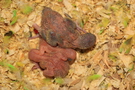 121023 --- Gruppbild av R1, R2 och R3